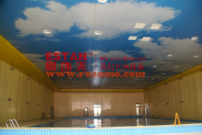 企業(yè)游泳館